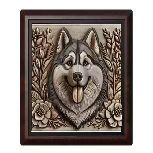 Dog Siberian Husky Animal