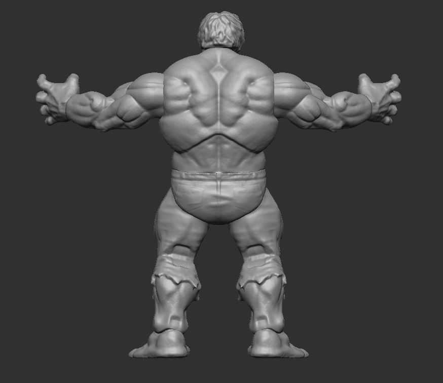 MS Hulk - 3d scanned toy for educational purpose 3D print model_3