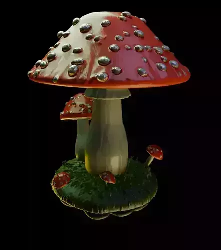 Mushroom 6