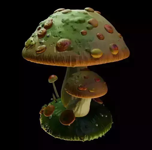 Mossy Mushroom 3D print model