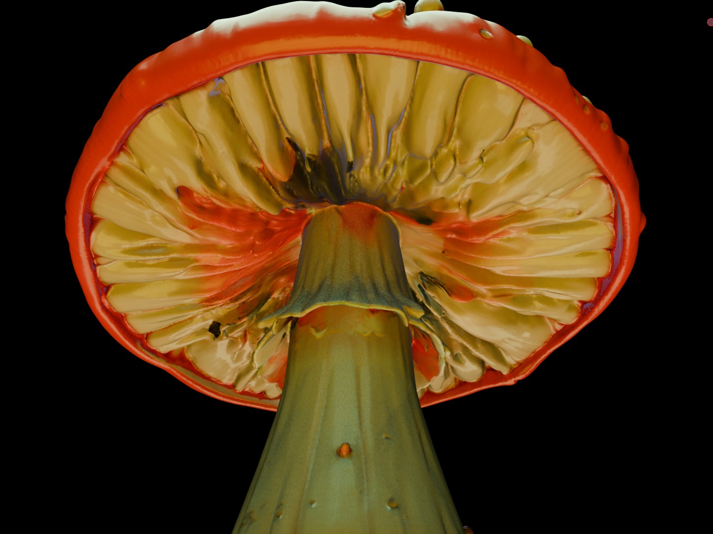 Mushroom 3 3D print model_3