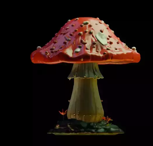 Mushroom 3