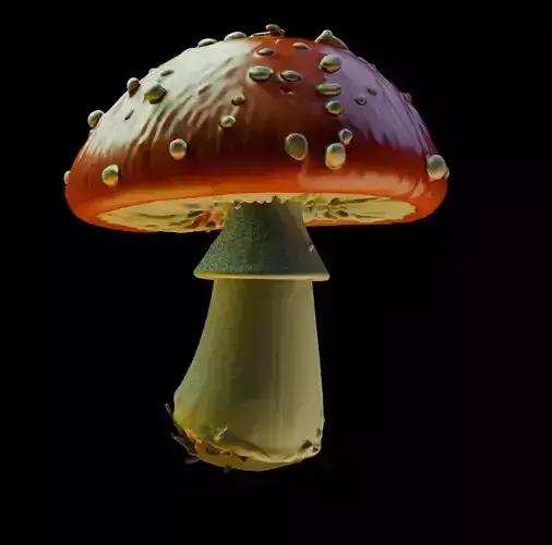 Mushroom 22