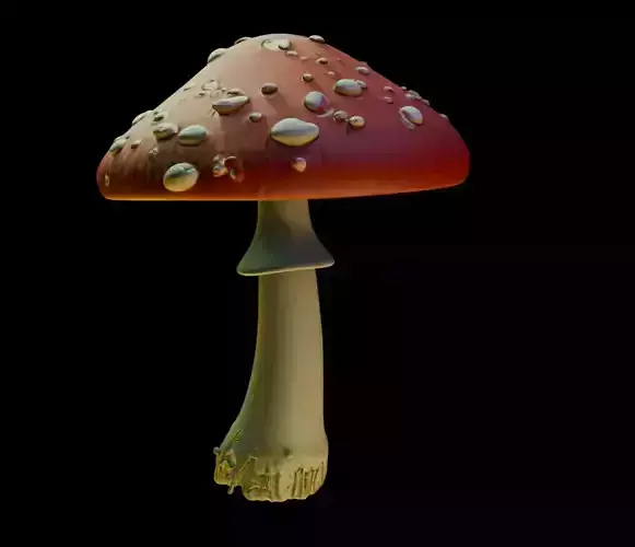 Amanita Mushroom