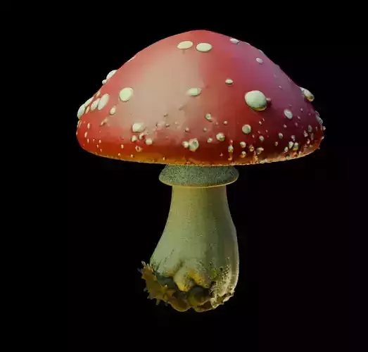 Red Mushroom 
