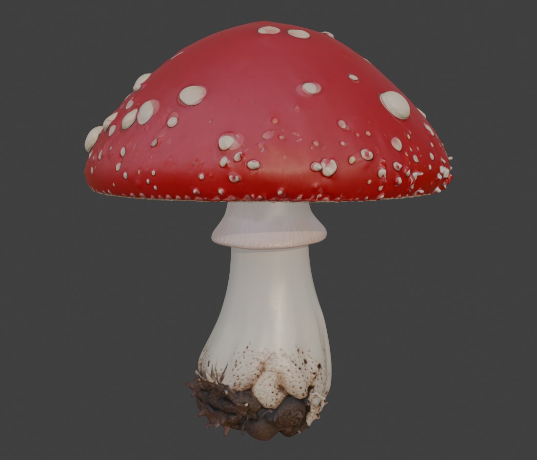 Red Mushroom  3D print model_13