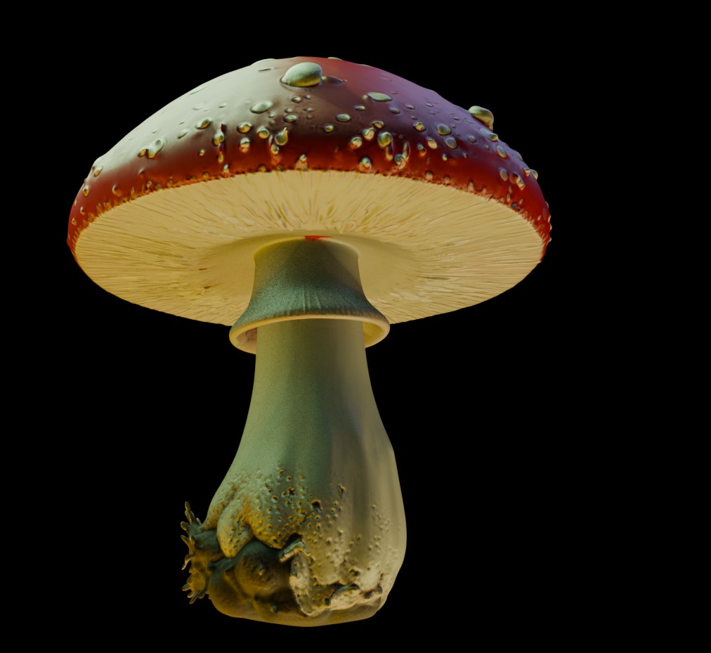 Red Mushroom  3D print model_3