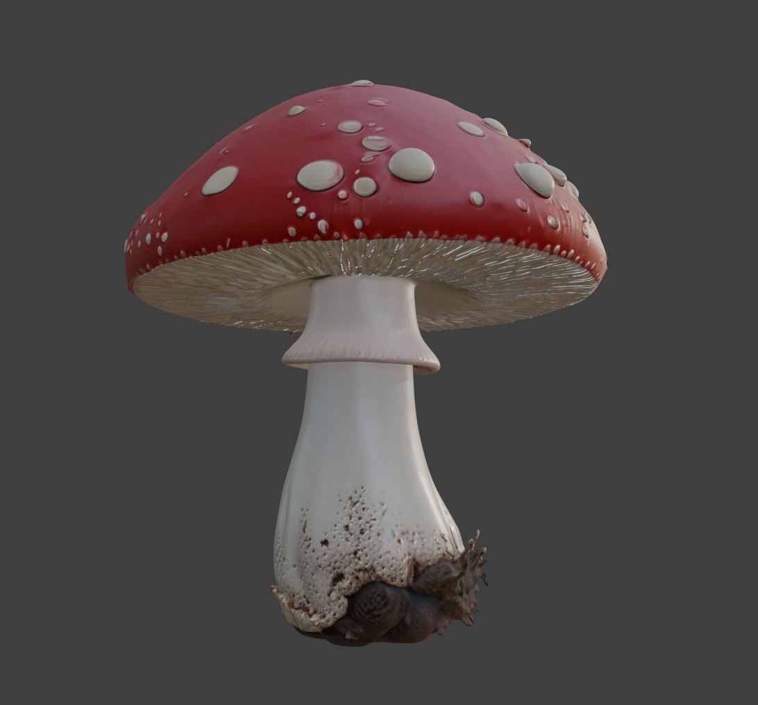 Red Mushroom  3D print model_11