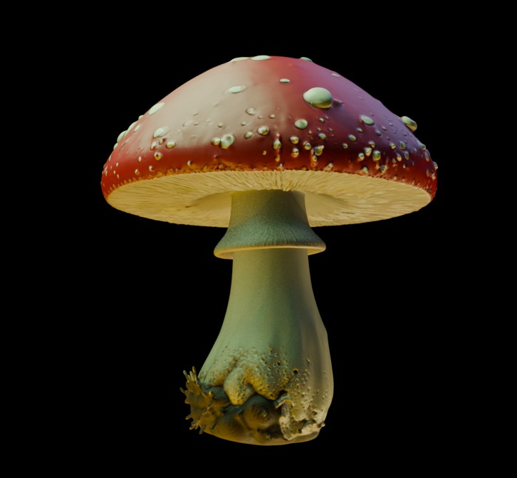 Red Mushroom  3D print model_6