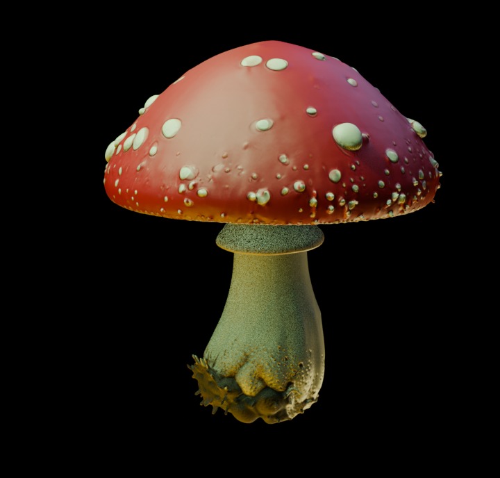 Red Mushroom  3D print model_15