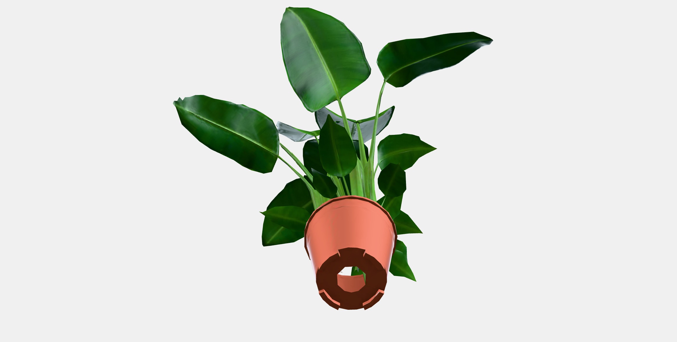 STRELITZIA Potted plant Low-poly 3D model_8
