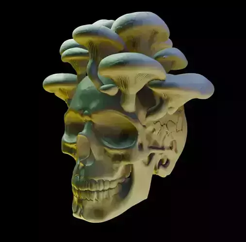 Shroom Skull