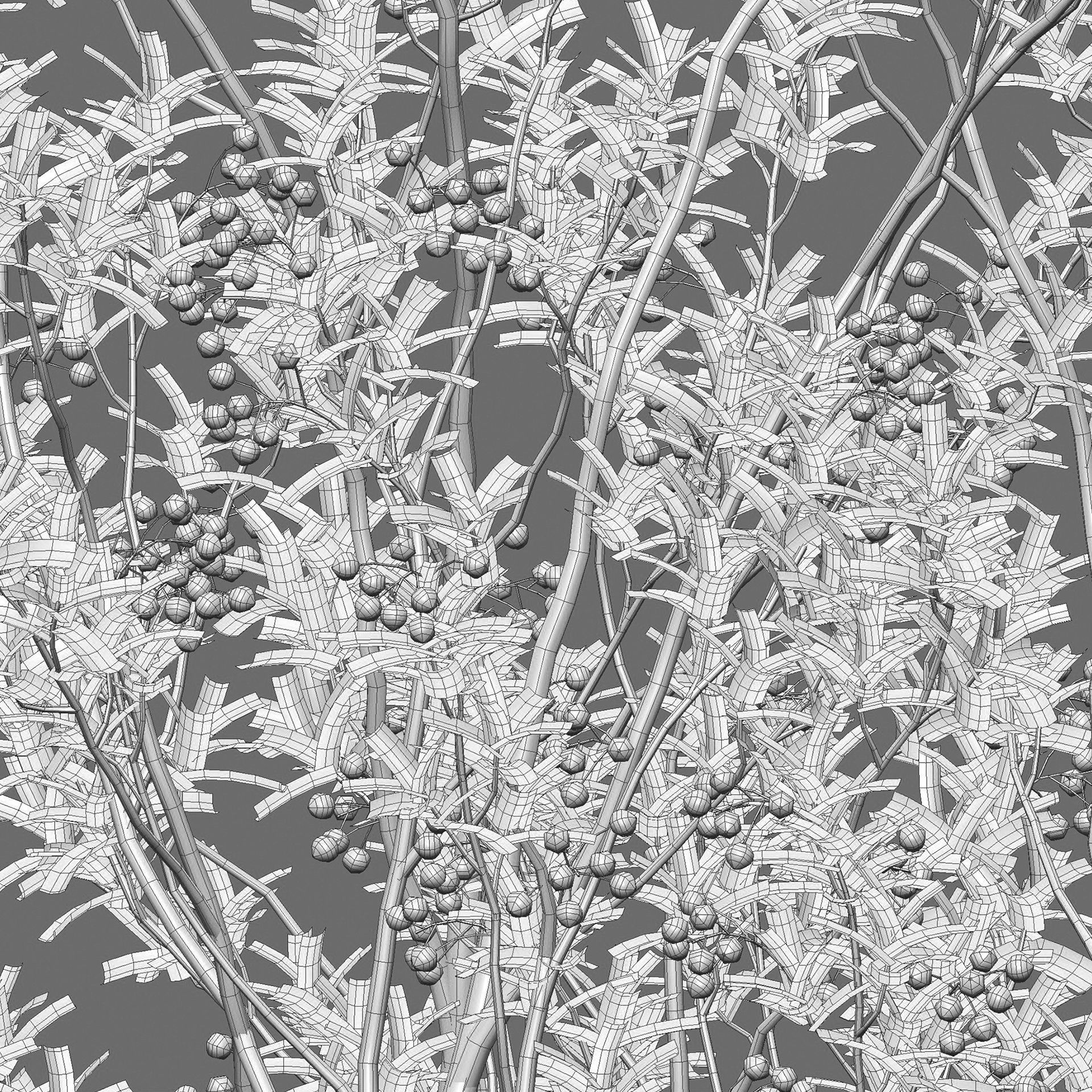 Aronia arbutifolia - Red Chokeberry Low-poly 3D model_4