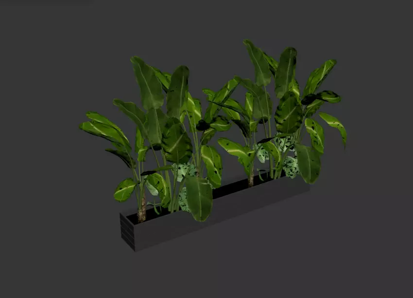 Decor Plant Free 3D print model_0