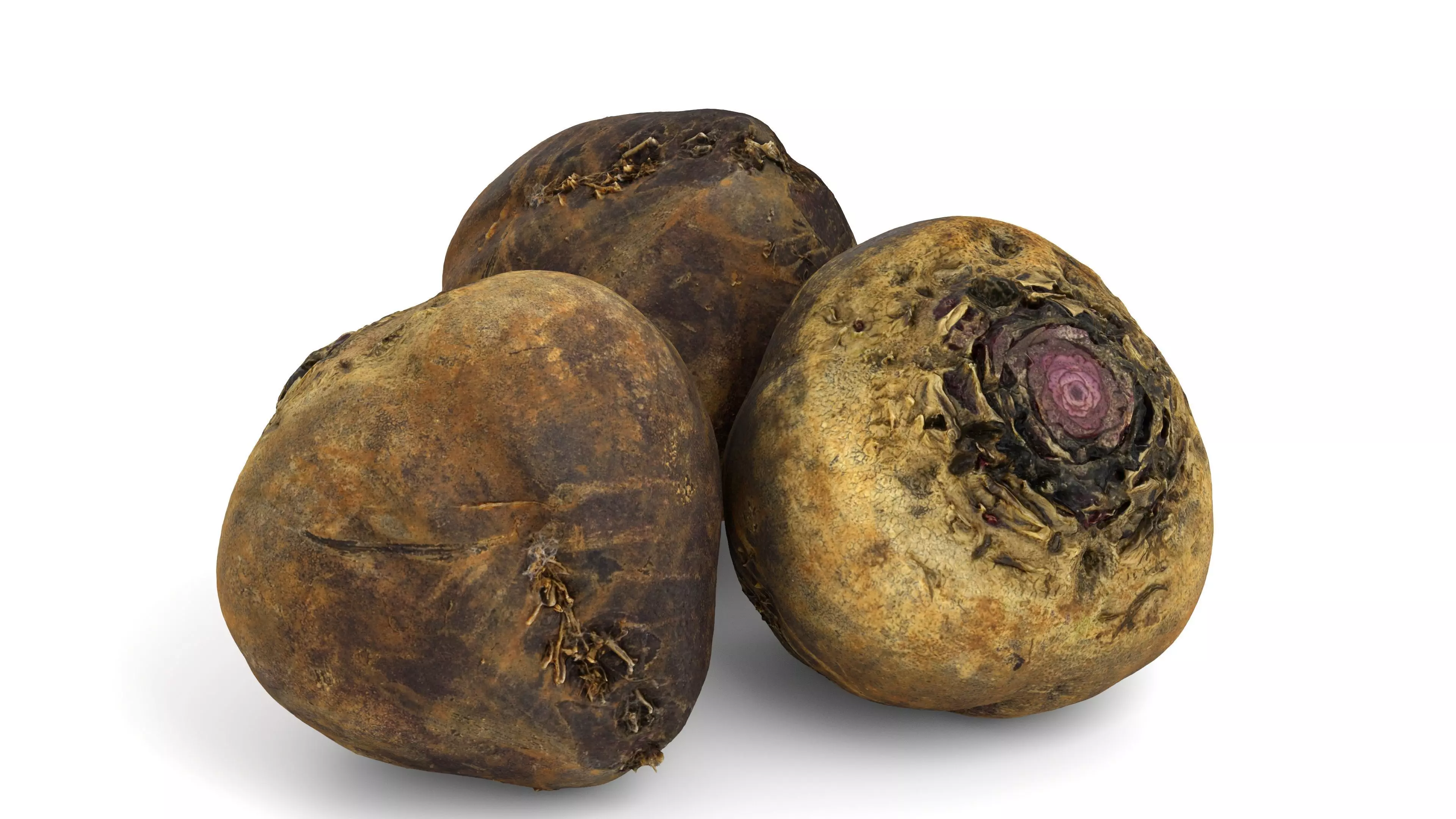 Beetroot - Photorealistic Scan Low-poly 3D model