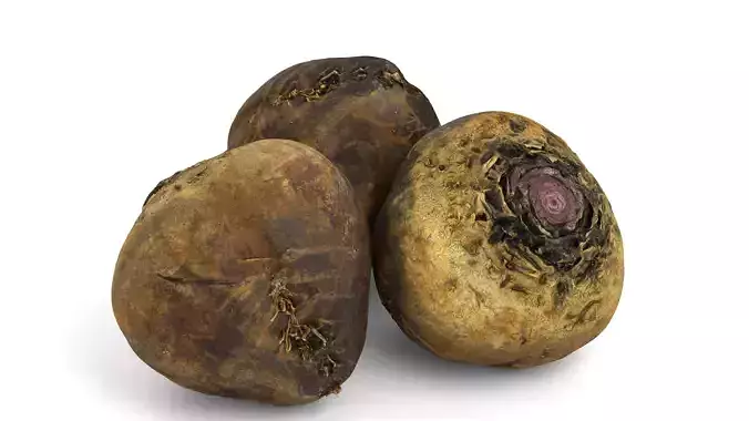 Beetroot - Photorealistic Scan Low-poly 3D model