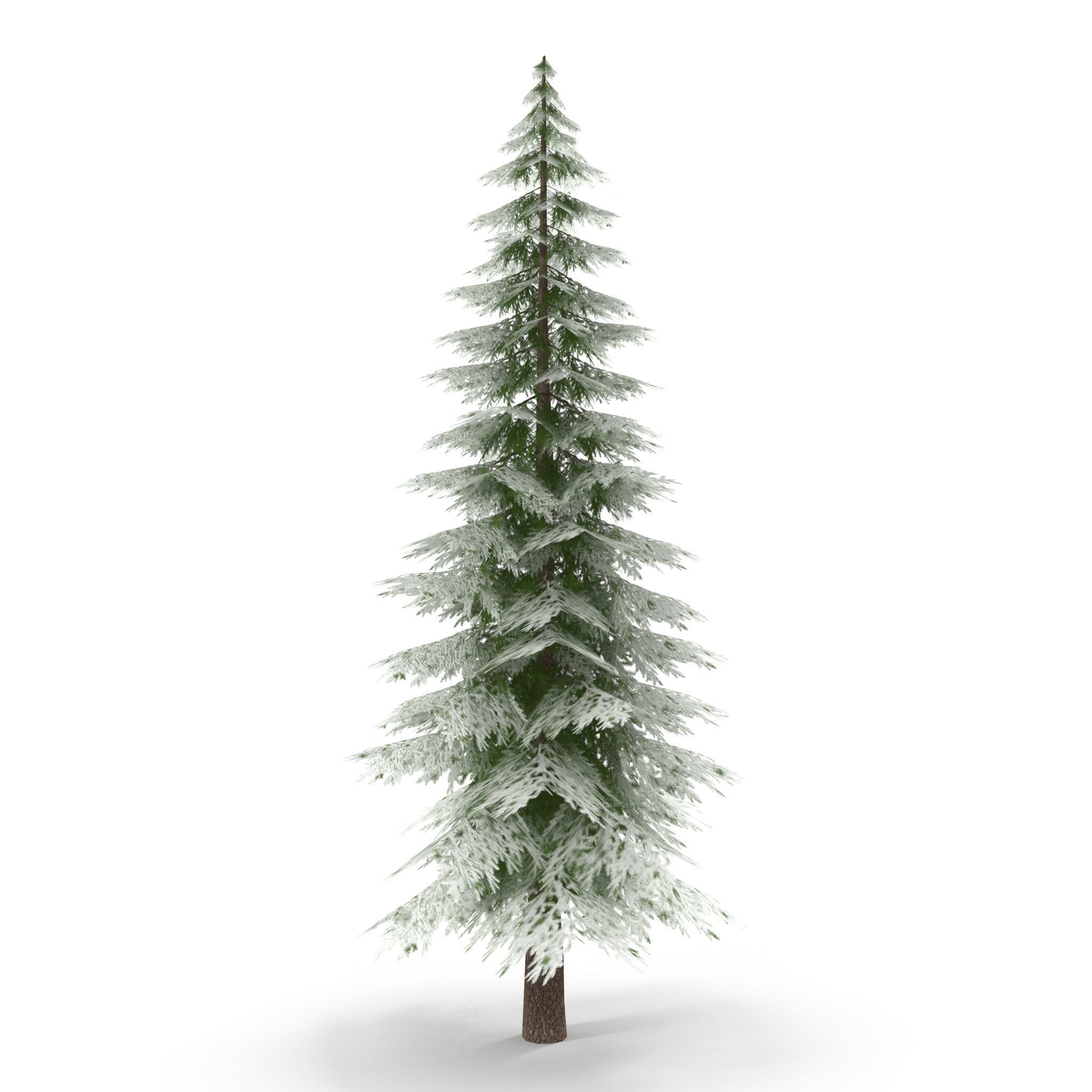 Canadian Spruce Tree Snow V1 Low-poly 3D model_5