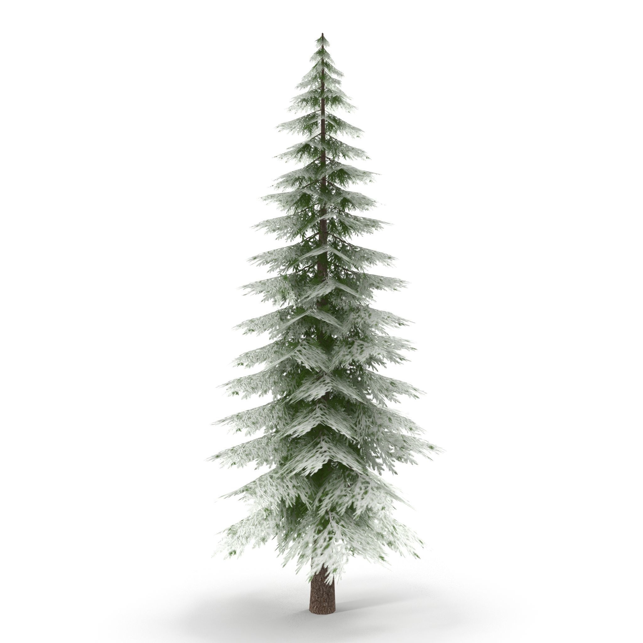 Canadian Spruce Tree Snow V1 Low-poly 3D model_4
