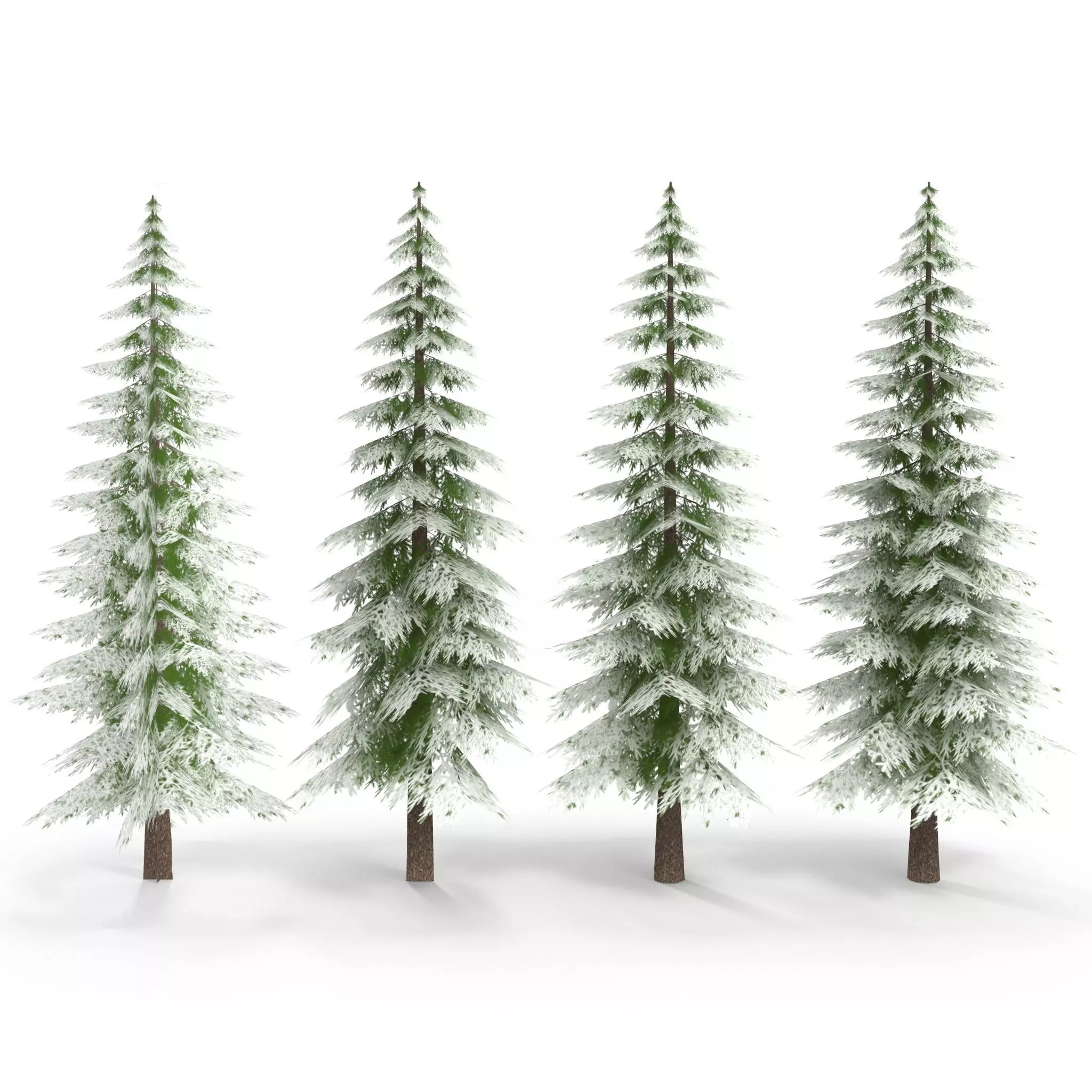 Canadian Spruce Tree Snow V1 Low-poly 3D model_0