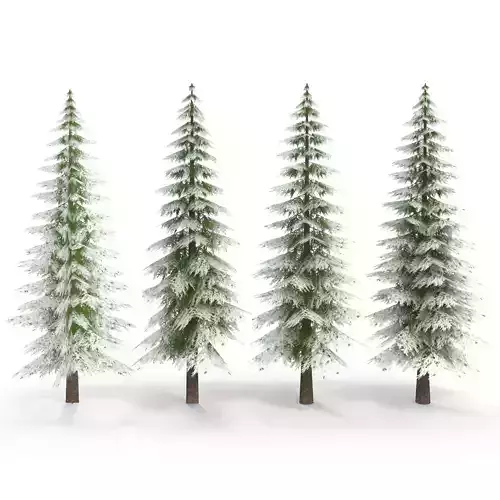 Canadian Spruce Tree Snow V1 Low-poly 3D model
