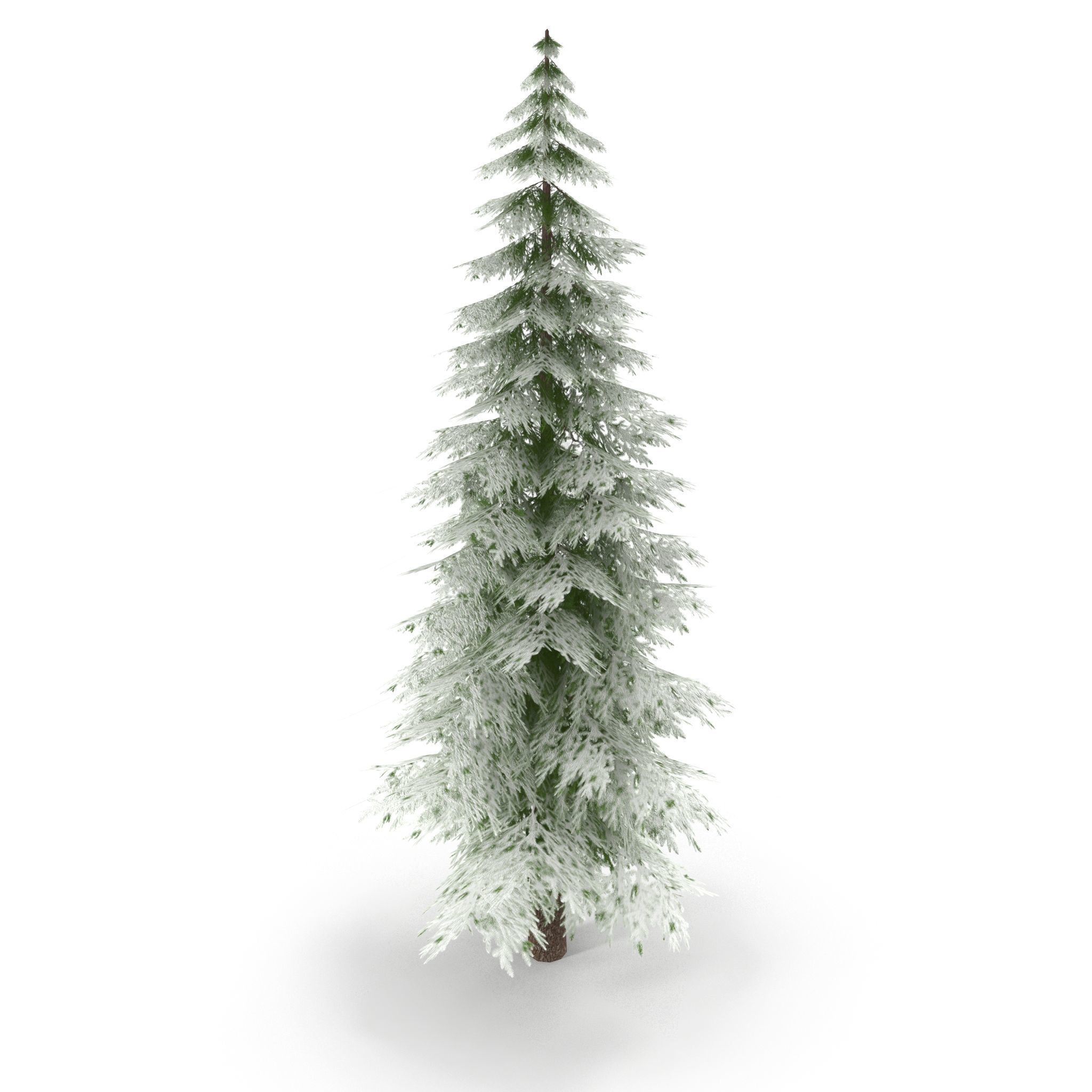 Canadian Spruce Tree Snow V1 Low-poly 3D model_7