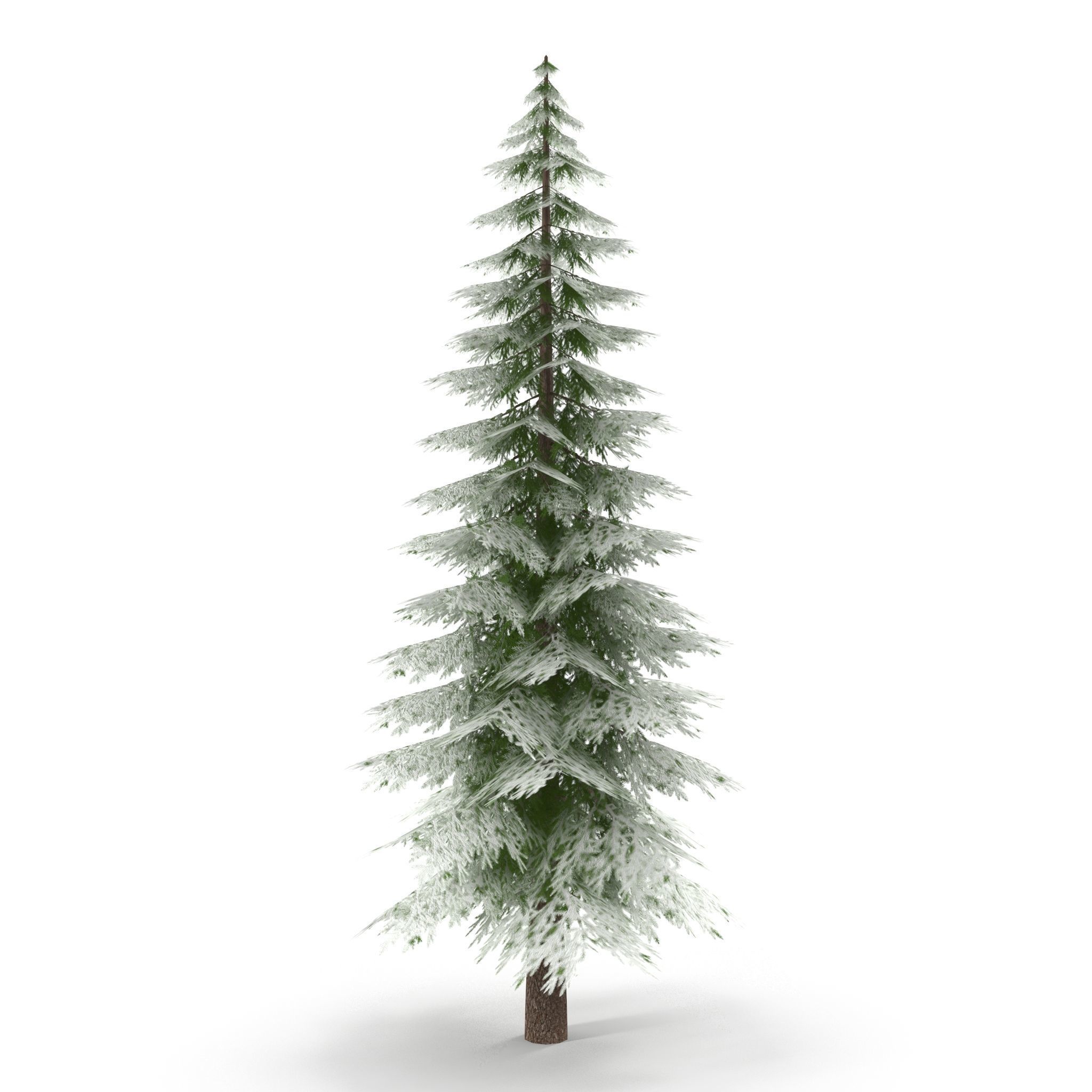 Canadian Spruce Tree Snow V1 Low-poly 3D model_6