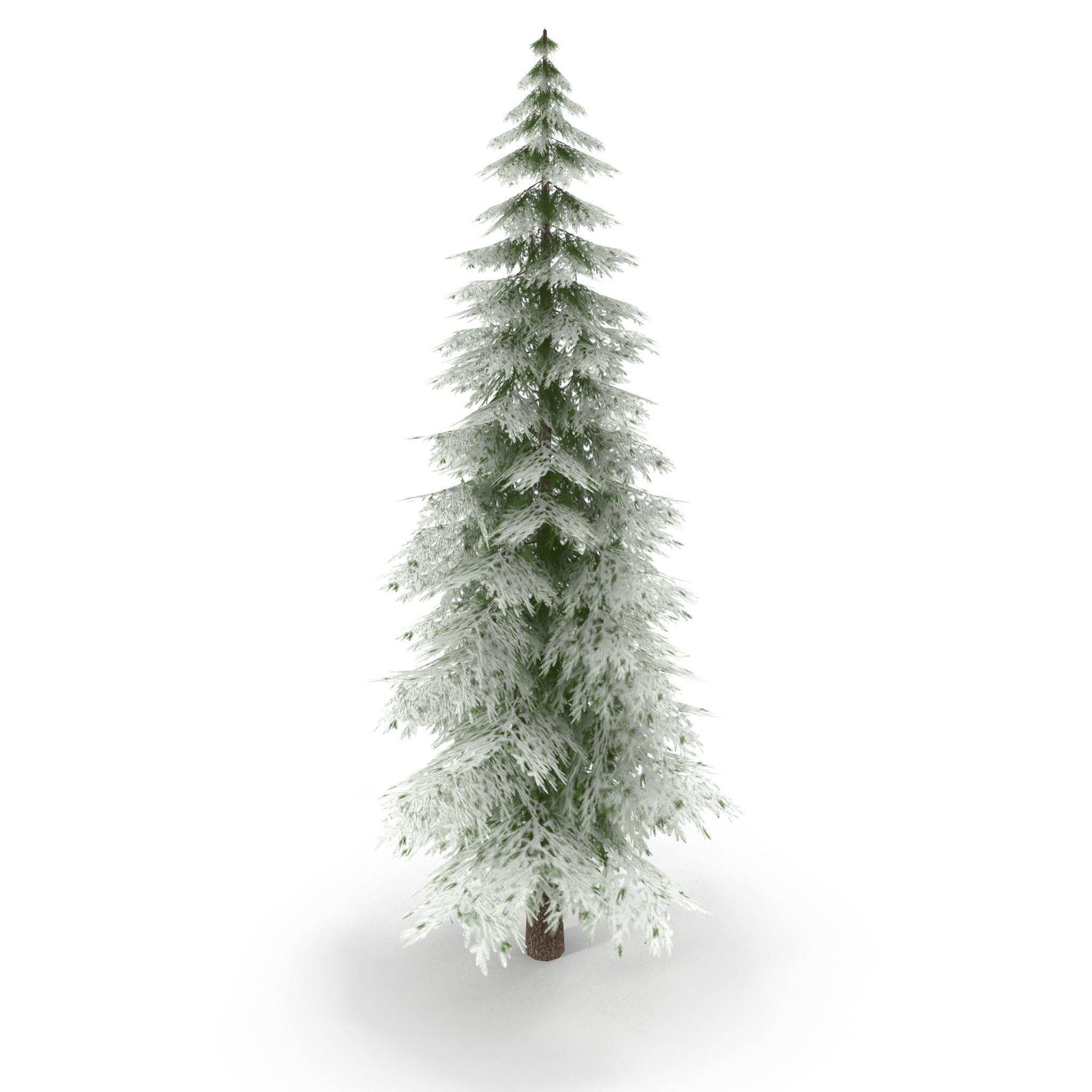 Canadian Spruce Tree Snow V1 Low-poly 3D model_1