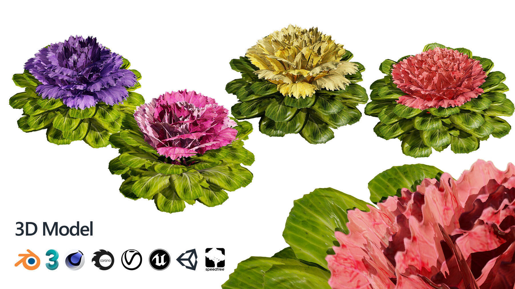 Realistic Low-Poly Outdoor Flowering Plants Low-poly 3D model_9