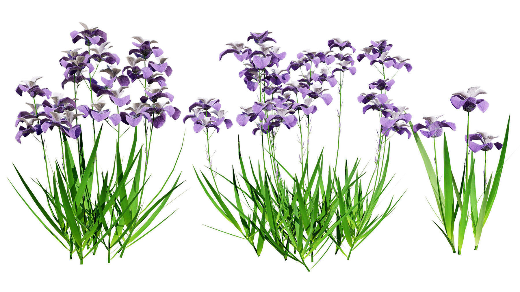 Realistic Low-Poly Outdoor Flowering Plants Low-poly 3D model_16