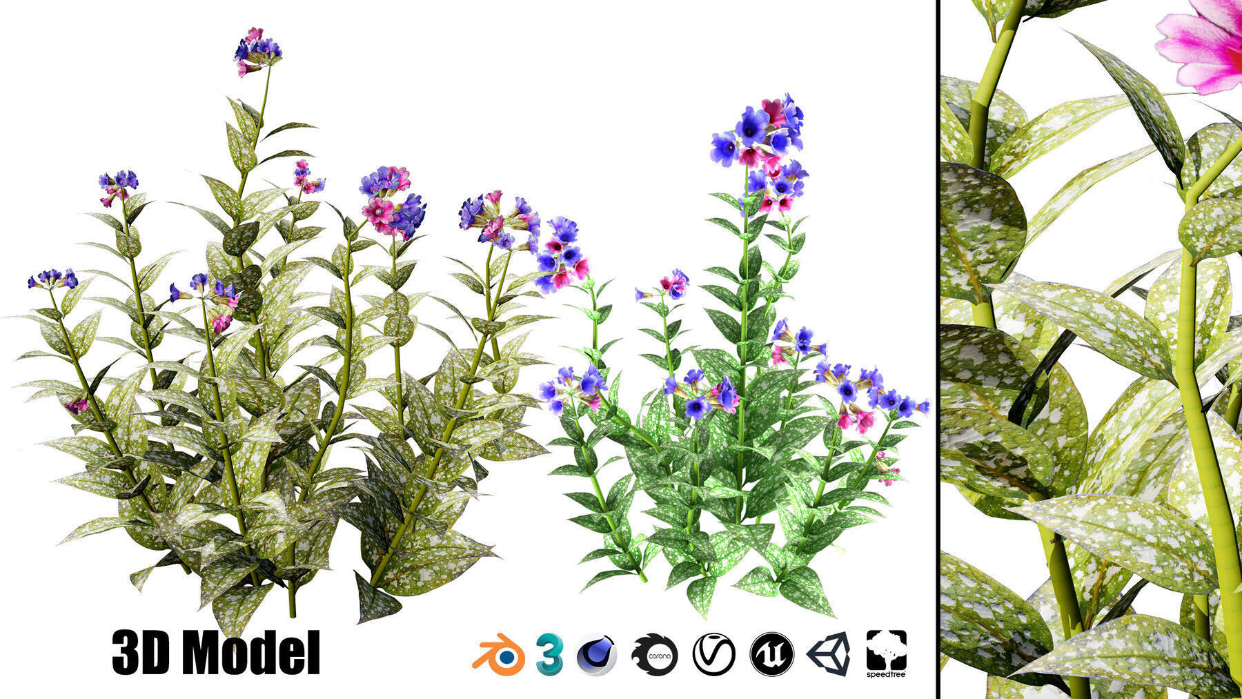 Realistic Low-Poly Outdoor Flowering Plants Low-poly 3D model_24