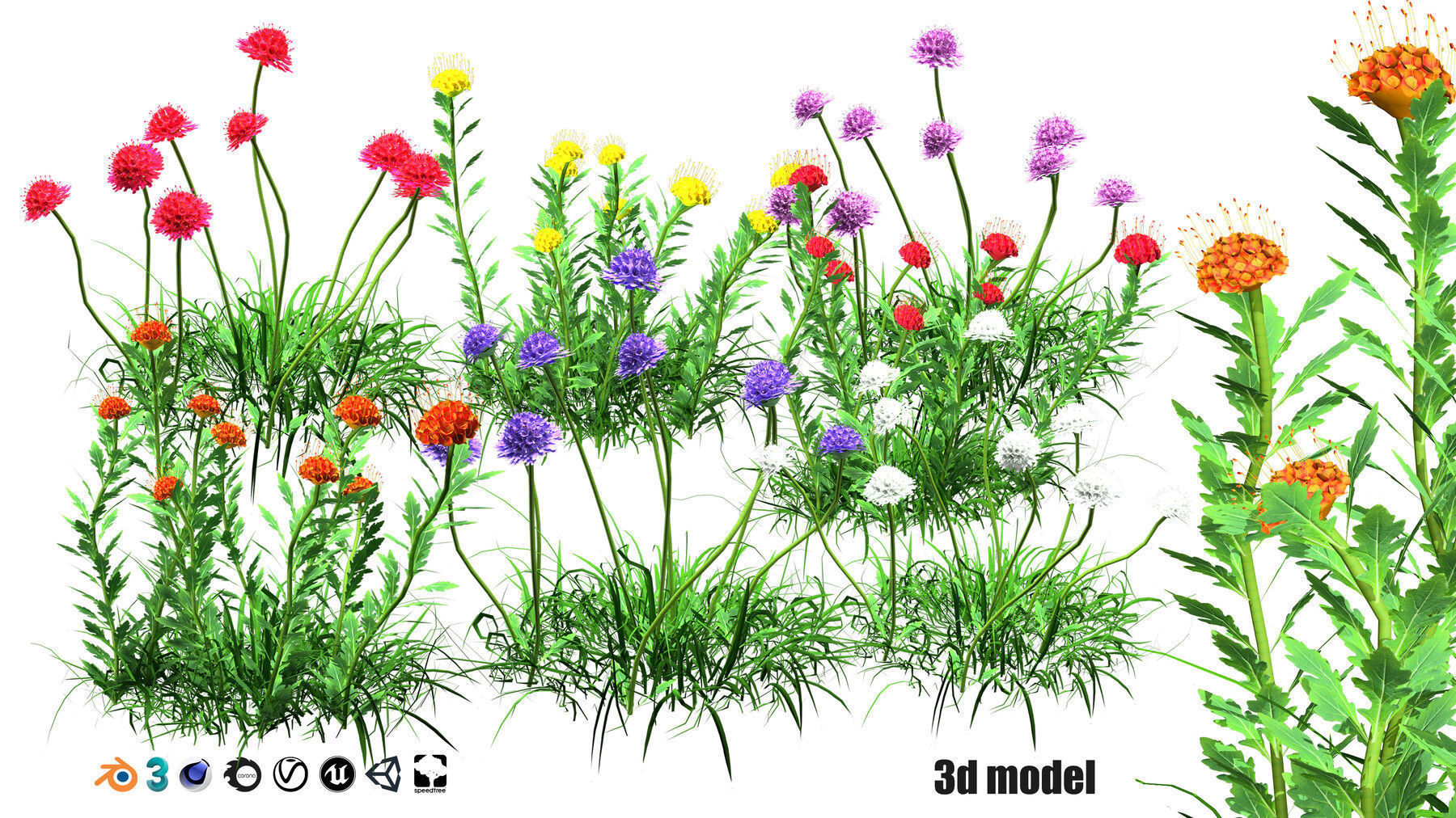 Realistic Low-Poly Outdoor Flowering Plants Low-poly 3D model_6