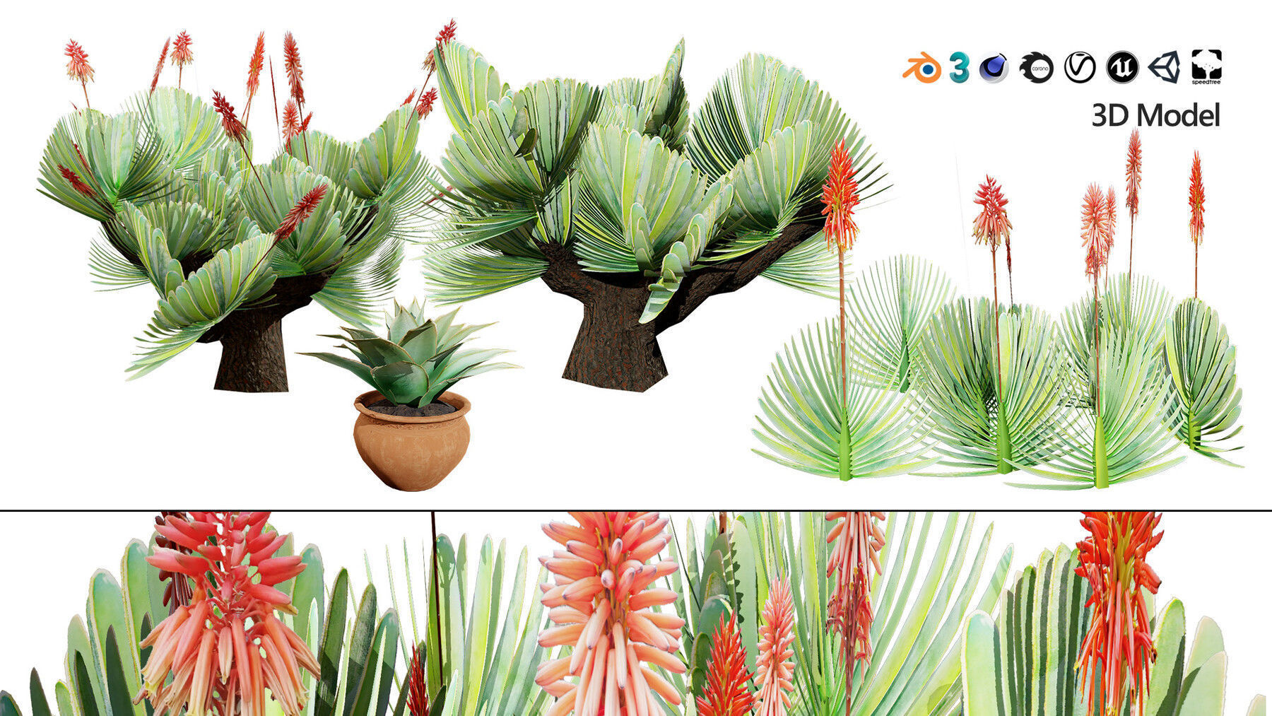 Realistic Low-Poly Outdoor Flowering Plants Low-poly 3D model_12