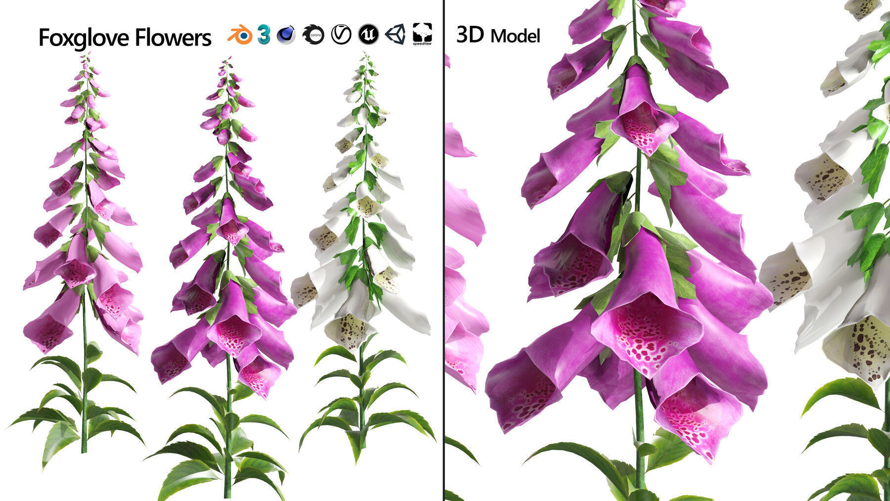 Realistic Low-Poly Outdoor Flowering Plants Low-poly 3D model_18
