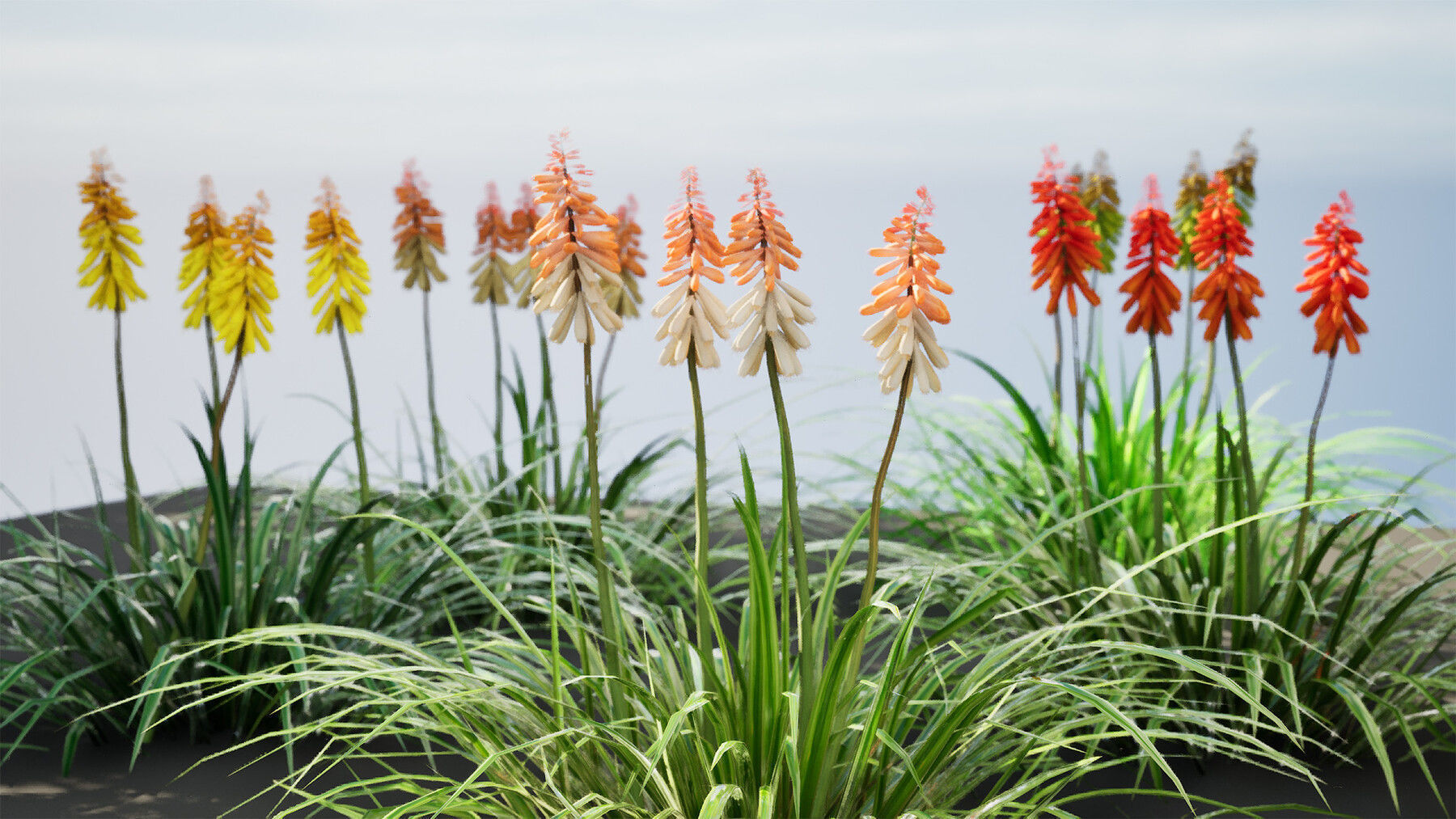 Realistic Low-Poly Outdoor Flowering Plants Low-poly 3D model_26