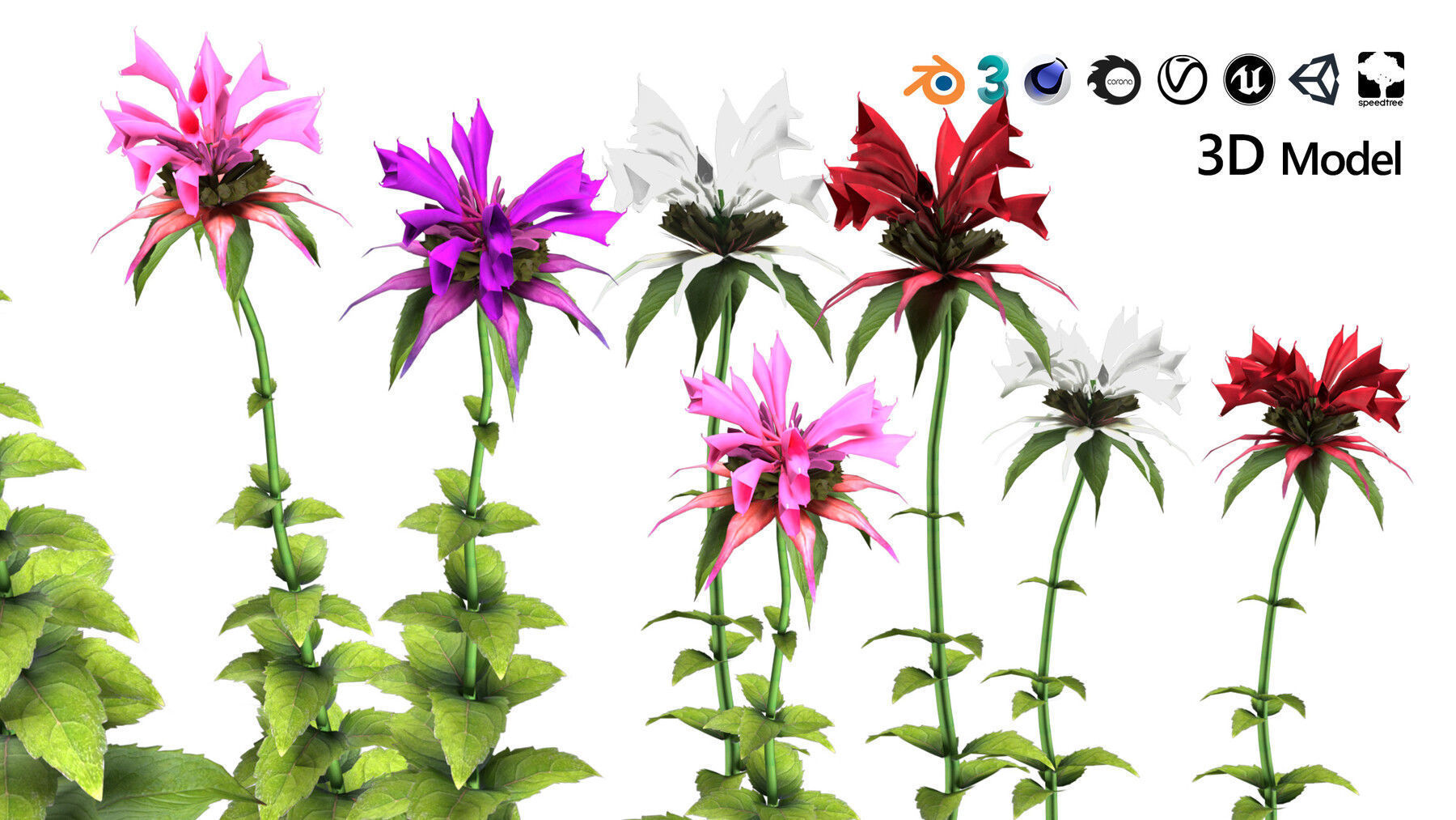 Realistic Low-Poly Outdoor Flowering Plants Low-poly 3D model_23