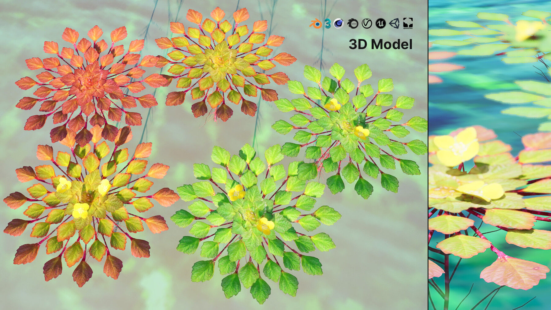 Realistic Low-Poly Outdoor Flowering Plants Low-poly 3D model_19