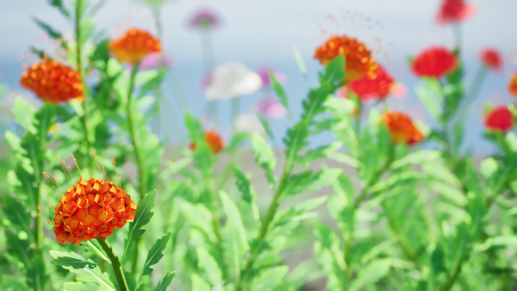 Realistic Low-Poly Outdoor Flowering Plants Low-poly 3D model_7