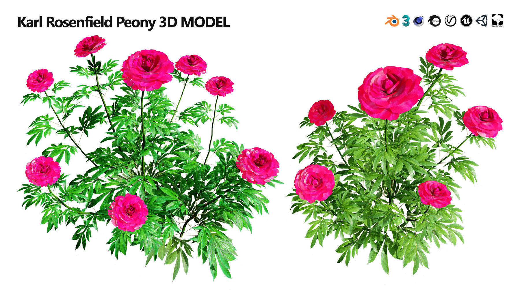 Realistic Low-Poly Outdoor Flowering Plants Low-poly 3D model_22