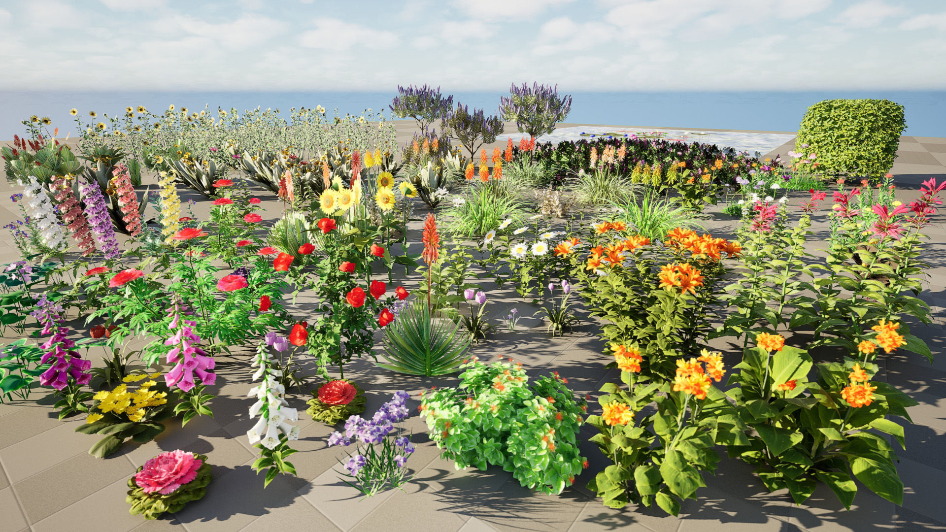 Realistic Low-Poly Outdoor Flowering Plants Low-poly 3D model_2