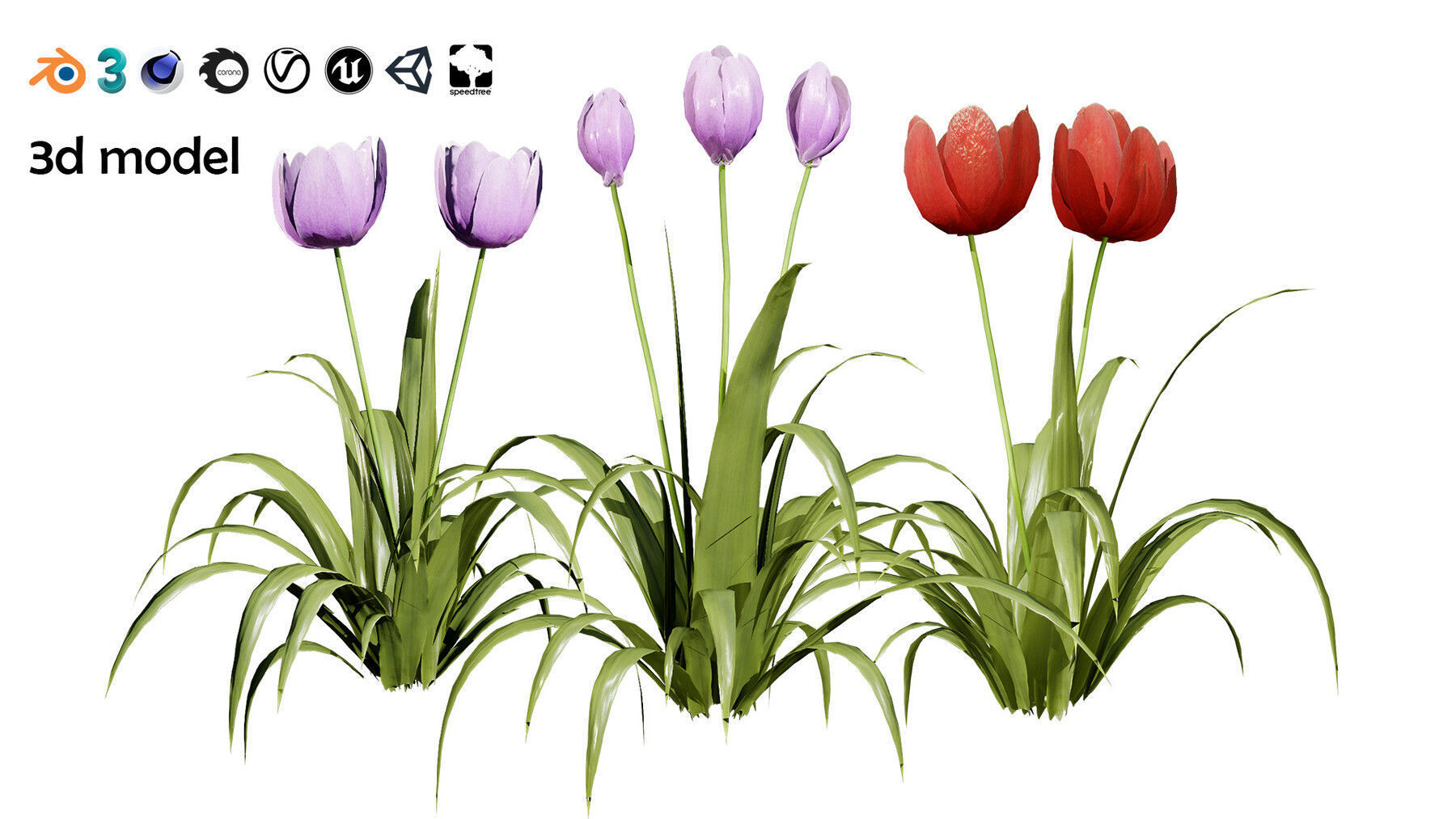 Realistic Low-Poly Outdoor Flowering Plants Low-poly 3D model_21