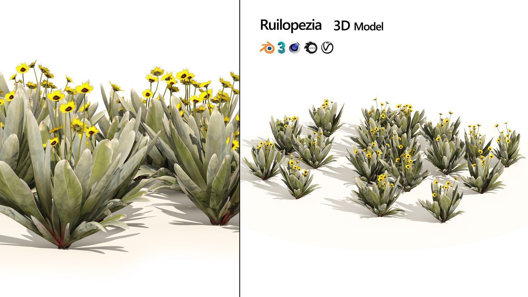 Realistic Low-Poly Outdoor Flowering Plants Low-poly 3D model_28