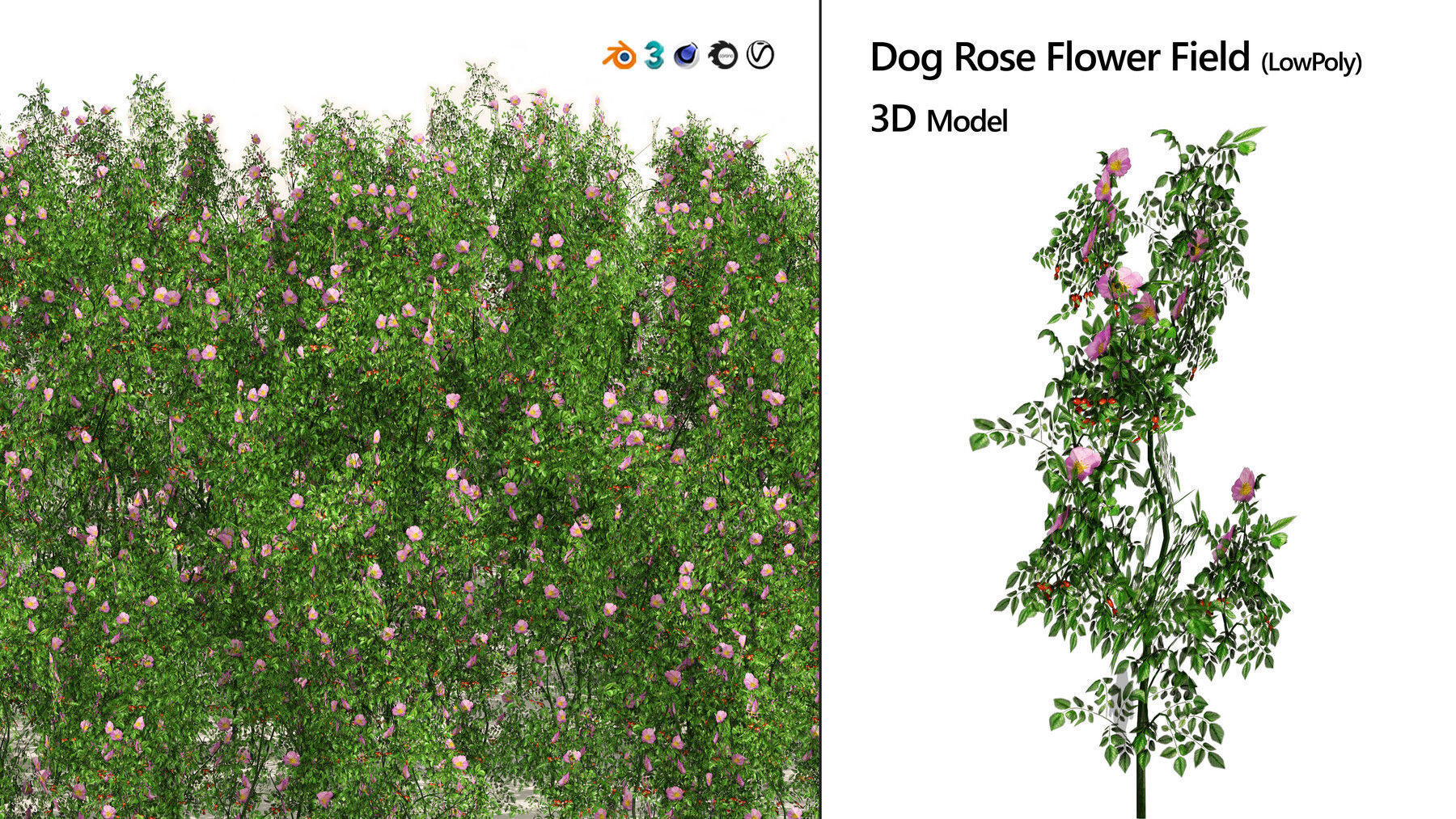 Realistic Low-Poly Outdoor Flowering Plants Low-poly 3D model_11