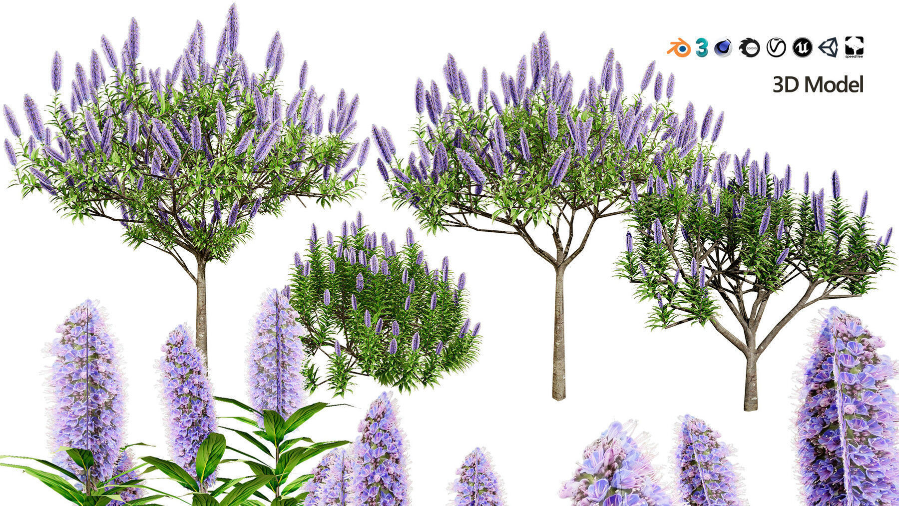 Realistic Low-Poly Outdoor Flowering Plants Low-poly 3D model_20
