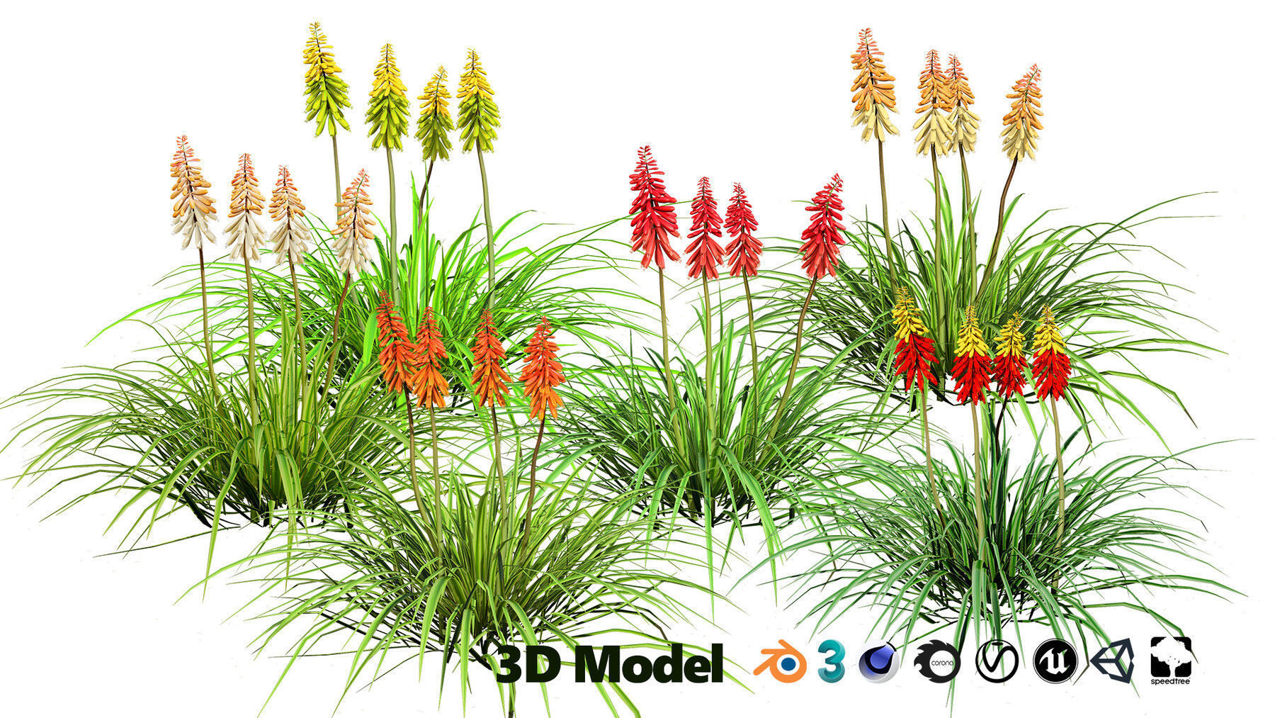 Realistic Low-Poly Outdoor Flowering Plants Low-poly 3D model_25