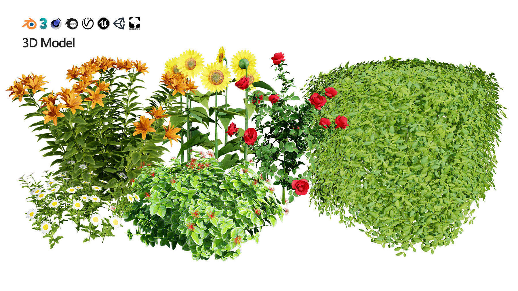 Realistic Low-Poly Outdoor Flowering Plants Low-poly 3D model_13