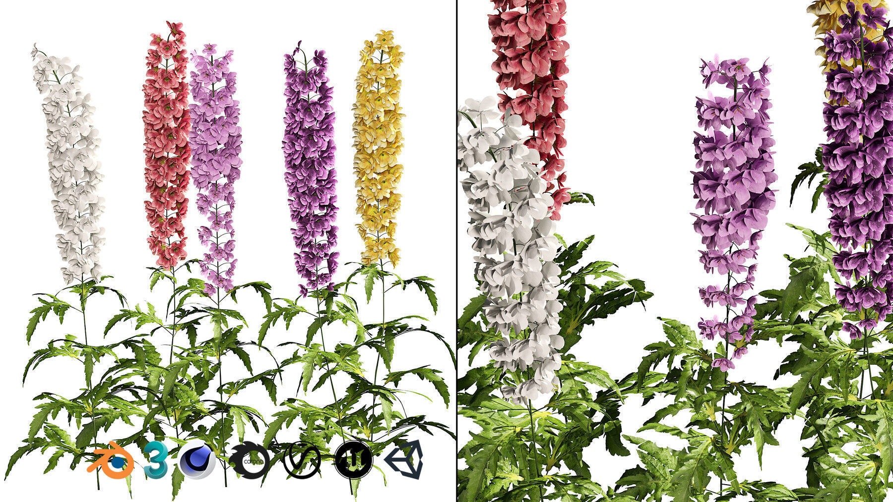 Realistic Low-Poly Outdoor Flowering Plants Low-poly 3D model_17