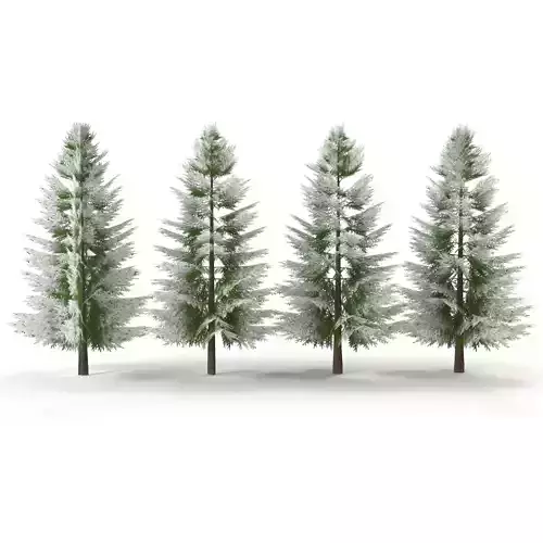 Canadian Spruce Tree Snow V2 Low-poly 3D model