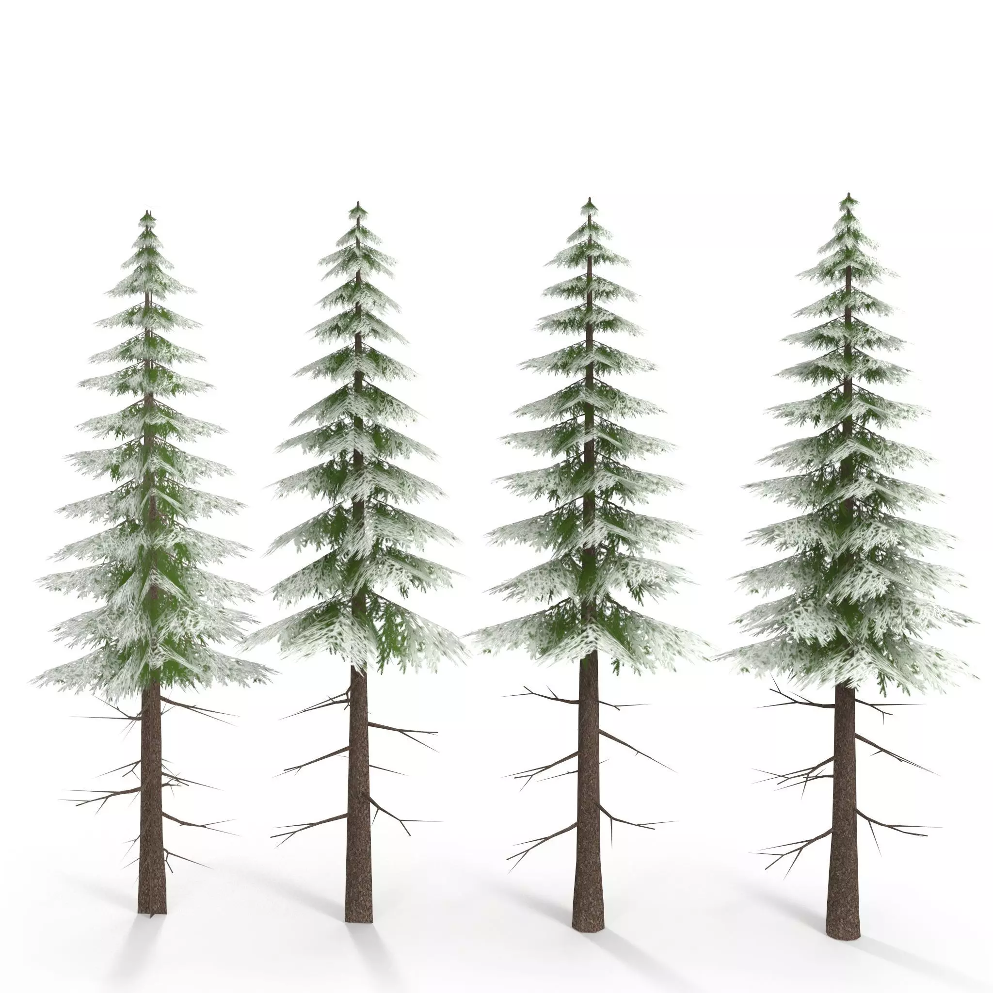 Canadian Spruce Tree Snow V3 Low-poly 3D model_0