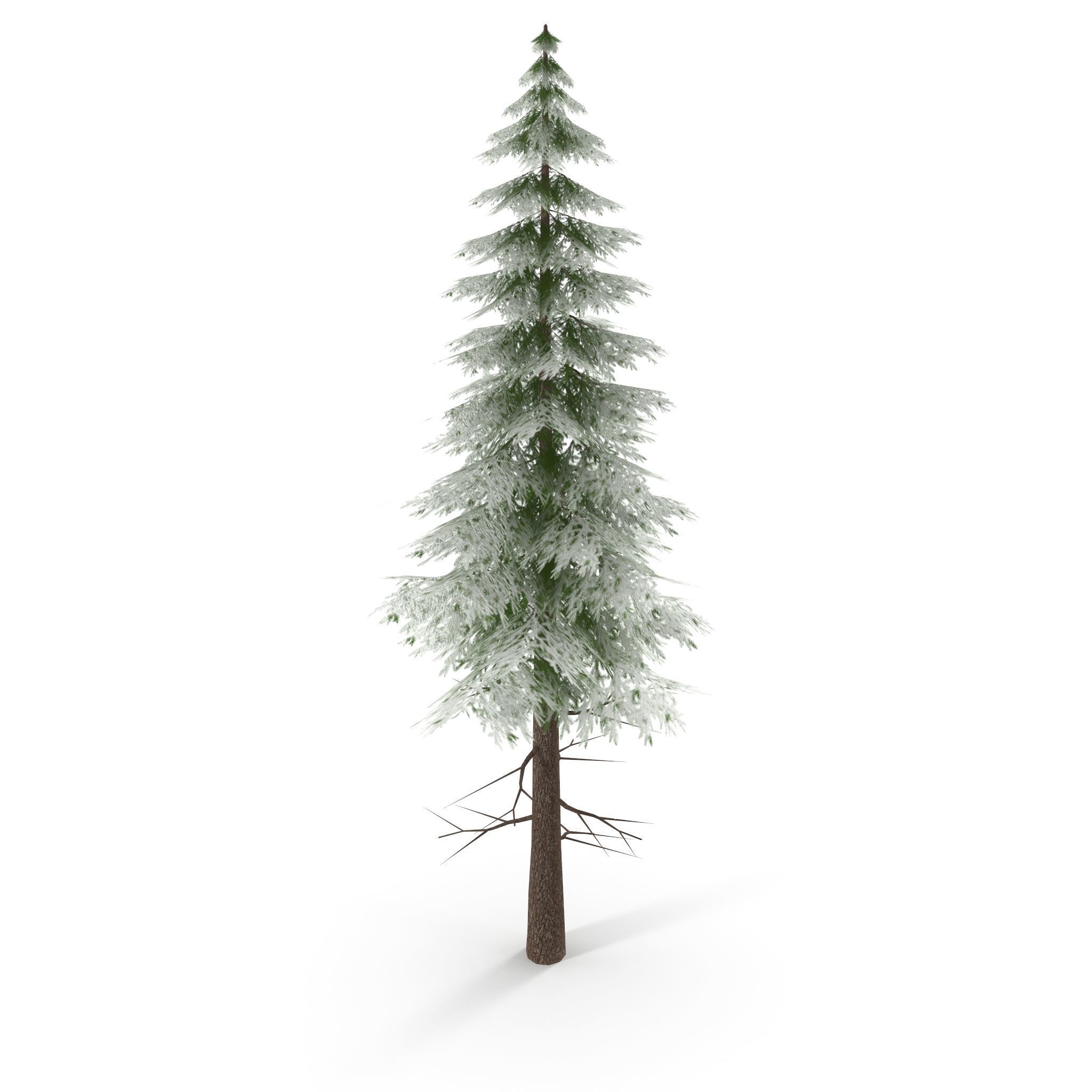 Canadian Spruce Tree Snow V3 Low-poly 3D model_6