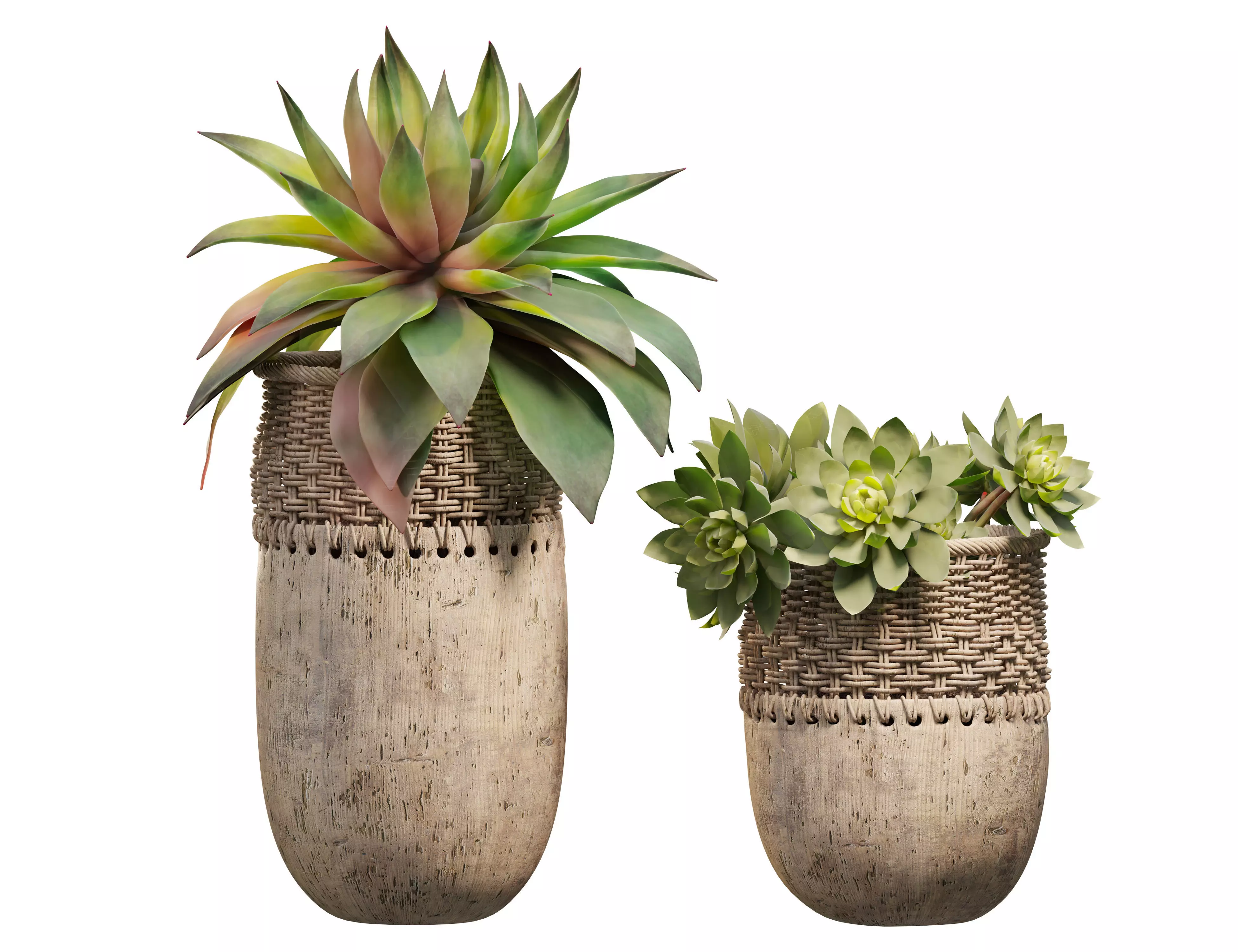 Succulent planter 3D model